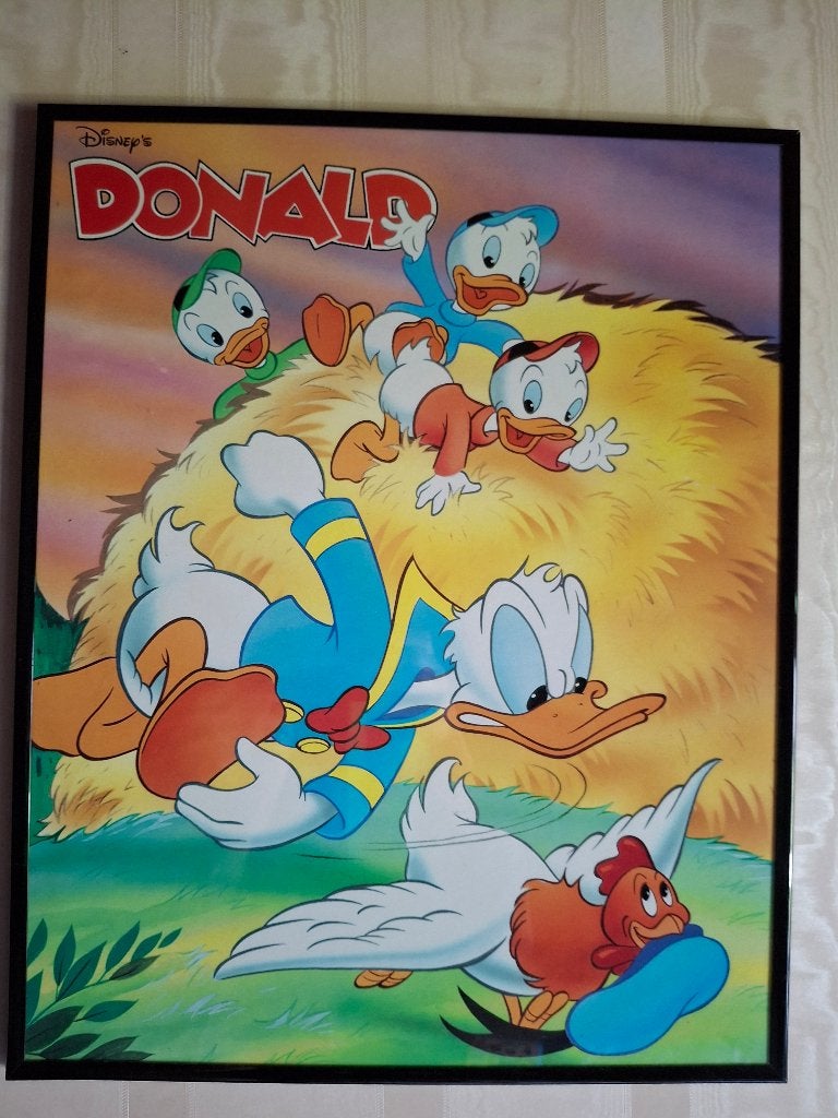 Donald Duck foto om op te hangen, Huis en Inrichting, Ophalen, Gebruikt, Minder dan 50 cm, Foto of Poster