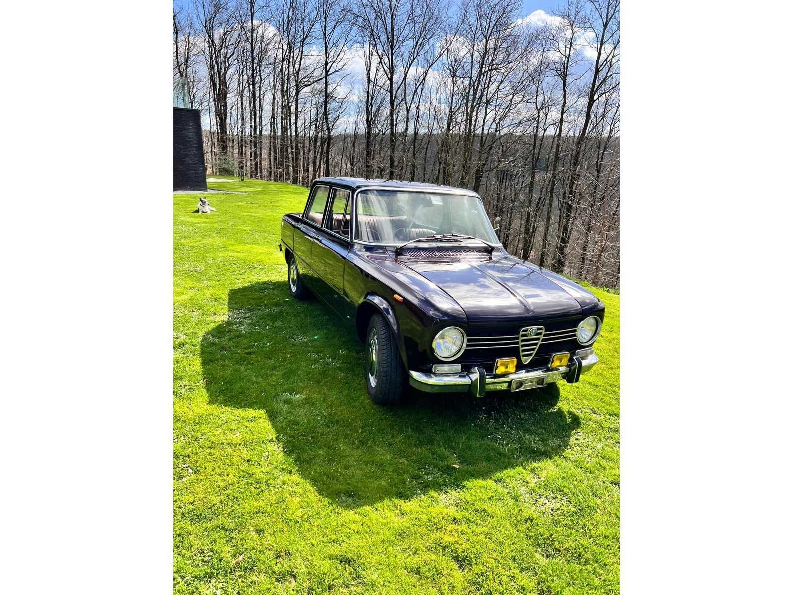 1975 Alfa Giulia Super Ancestors, foto 8