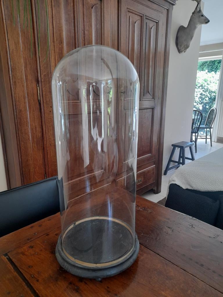 Grote antieke stolp hoogte 53cm, Antiek en Kunst, Ophalen