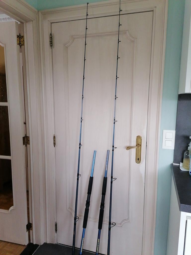 2 TUBERTINI HENGELS EOLO, 3M, CARBON. NIEUW, Enlèvement ou Envoi, Neuf, Canne à lancer