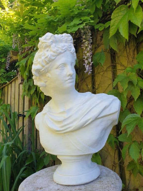 Buste Apollo , borstbeeld , aanbieding, Ophalen of Verzenden, Nieuw, Wit, Klassiek