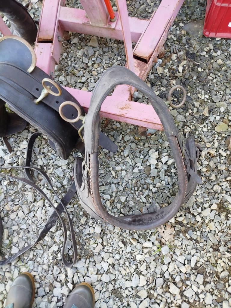 Sulky pour dressage (Tilbury de chasse), Ophalen of Verzenden, Zo goed als nieuw, Dressuur