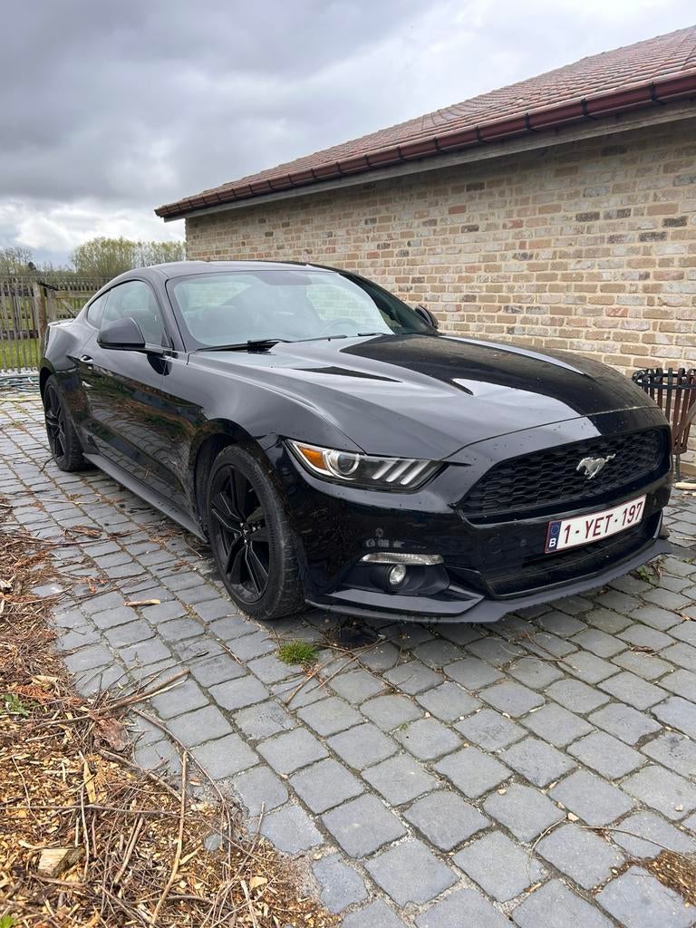 Mustang Ecoboost 2.3, Achat, Boîte manuelle, Particulier, Mustang