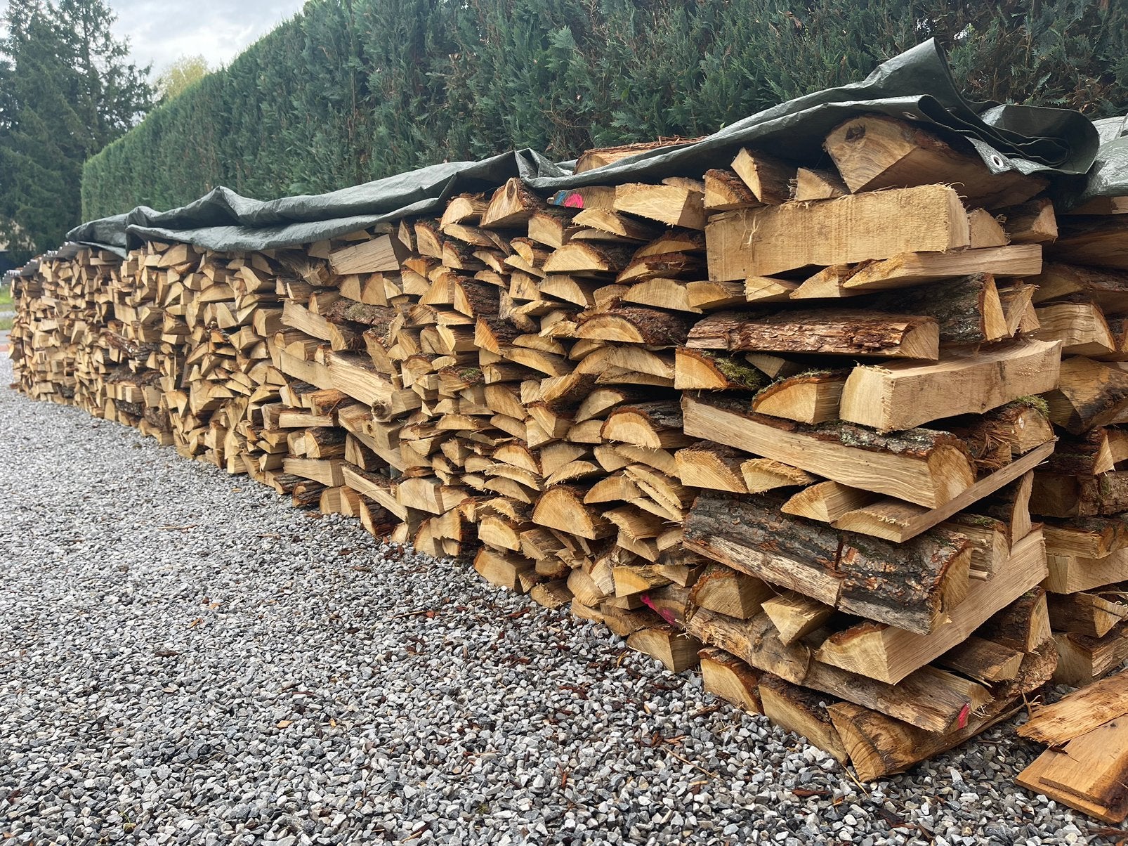 Bois de chauffage chêne/hêtre en 40-45 cm prêt à brûler, Jardin & Terrasse, 3 à 6 m³, Enlèvement, Chêne, Bûches