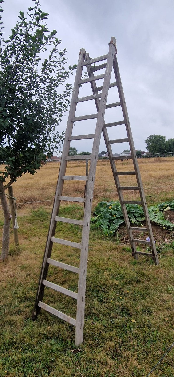 Sier ladder, Ophalen, Zo goed als nieuw, Ladder