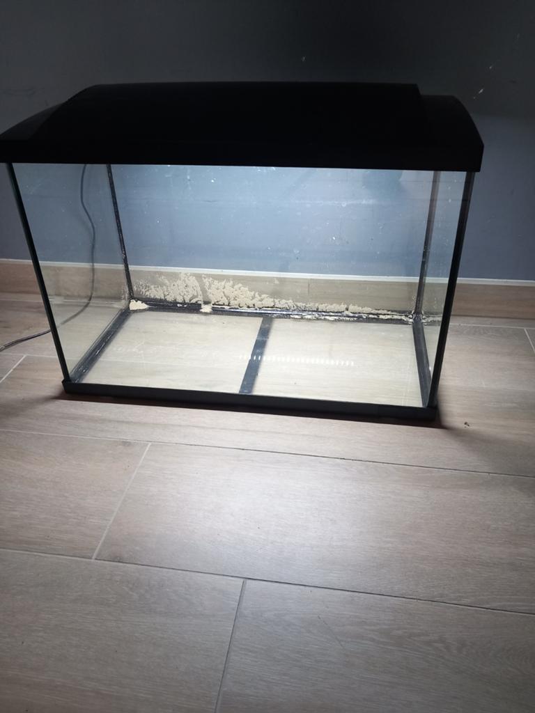 klein aquarium met verlichting, Dieren en Toebehoren, Ophalen