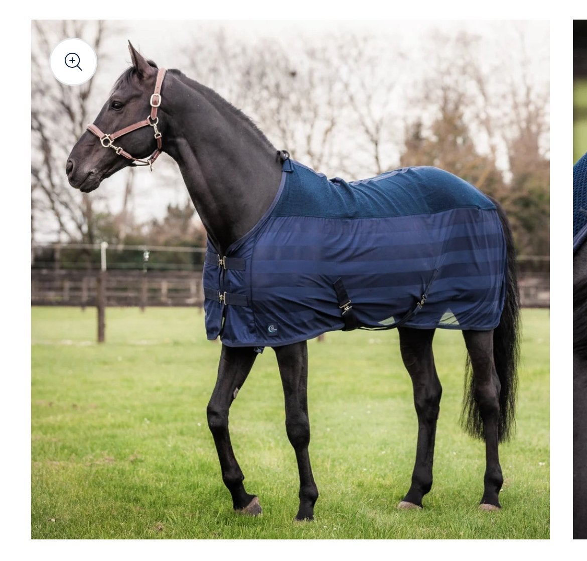 Greenfield vliegendeken te koop, Animaux & Accessoires, Chevaux & Poneys | Couvertures & Couvre-reins, Enlèvement ou Envoi, Comme neuf