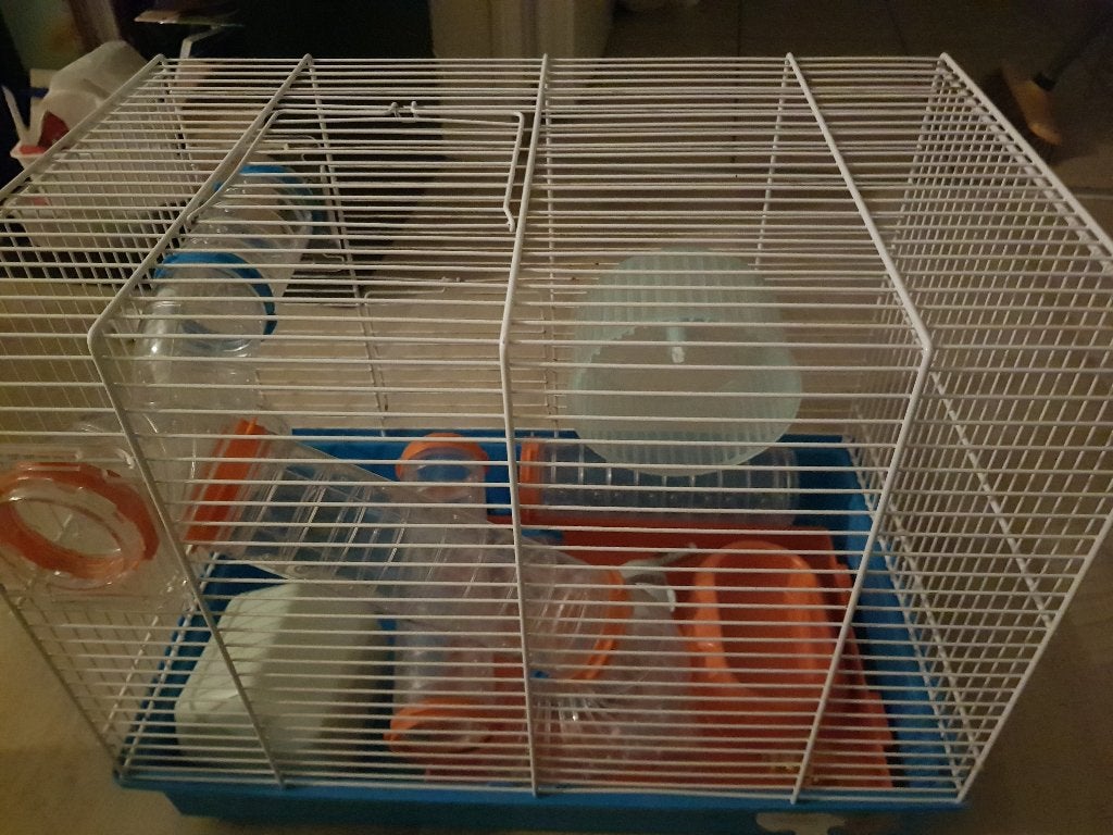 Dwerghamster kooi, Kooi, Gebruikt, Minder dan 75 cm, Hamster