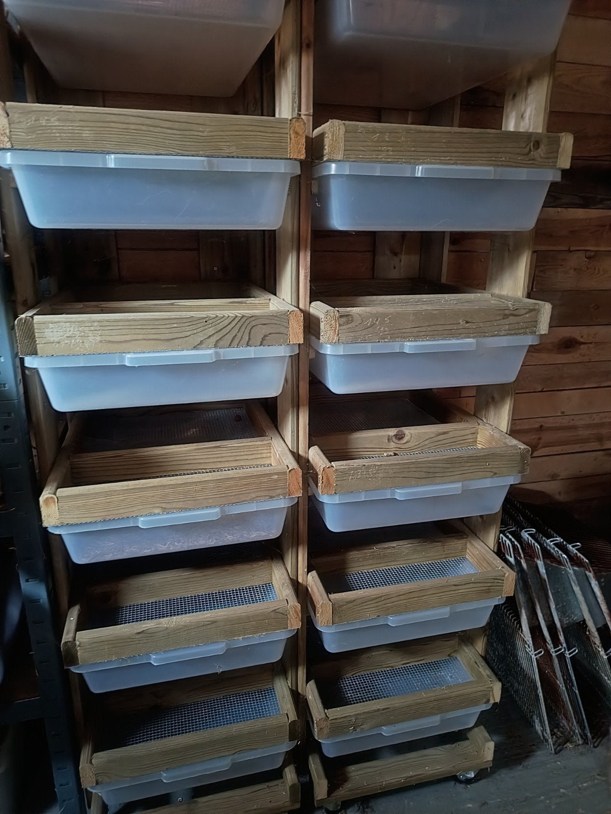 kweekstelling voor muizen, Ophalen