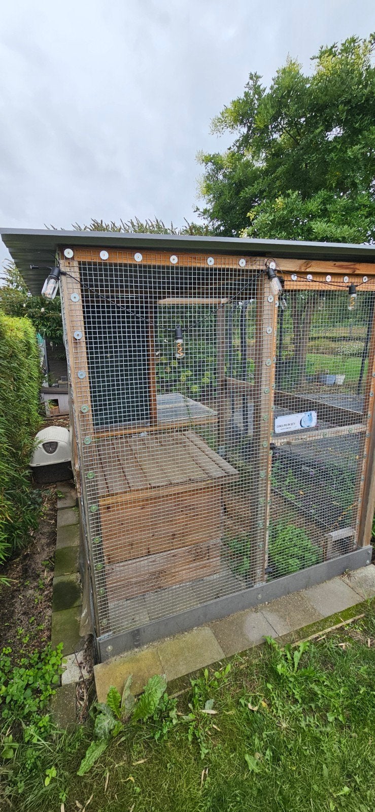 buitenhok voor cavia's of konijnen, Dieren en Toebehoren, Ophalen, Gebruikt, Ren, Cavia