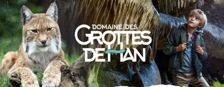 4 Abonnements annuel Grottes Han 03/01 -80 EUR, Tickets & Billets