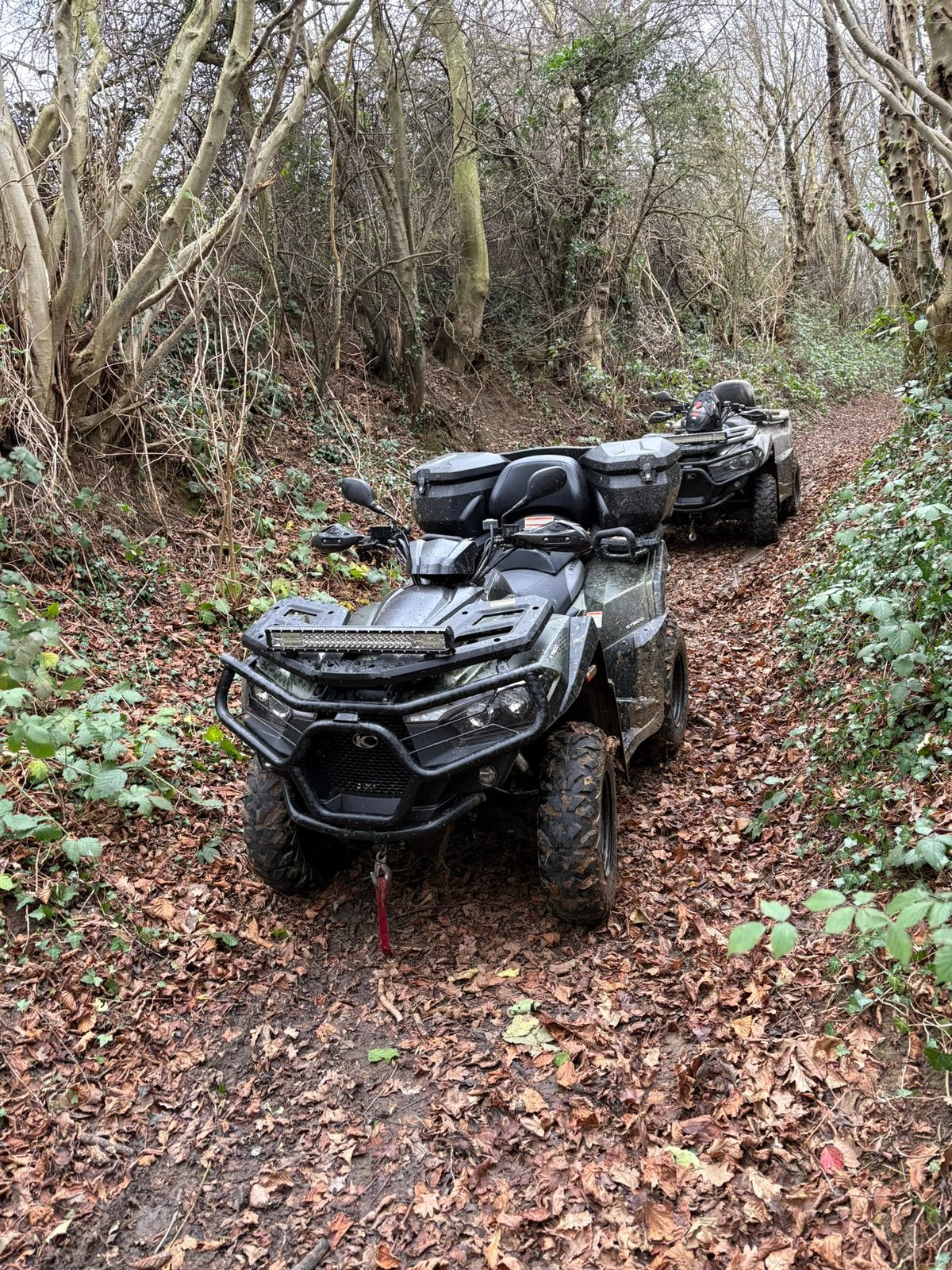 Quad kymco MXU 550i t3b, Motoren