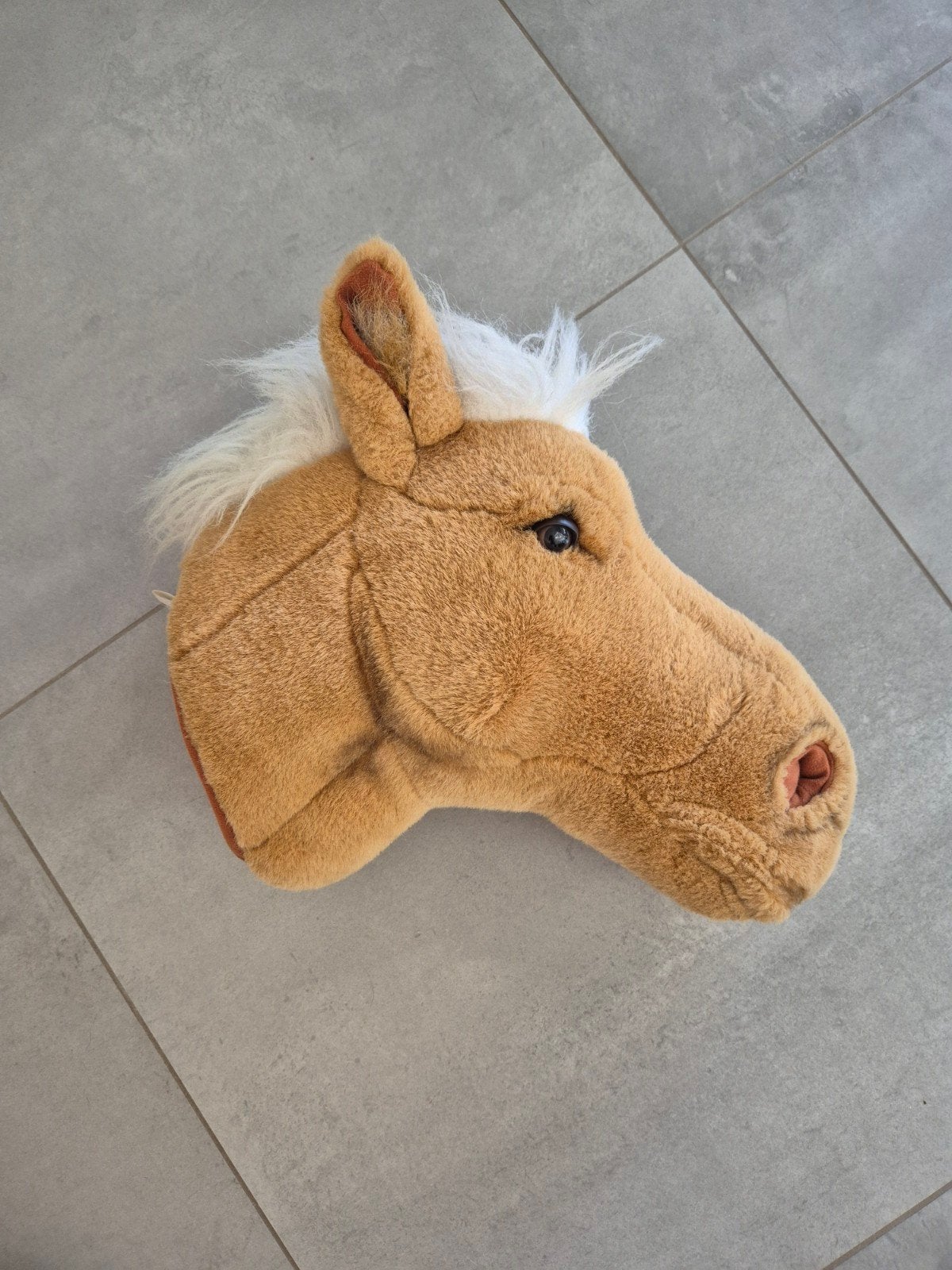Bibib paardenkop lichtbruin, Ophalen