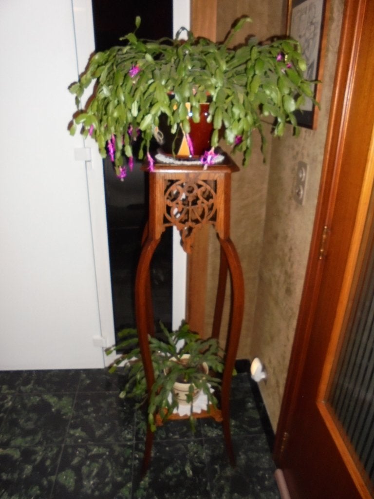 oude art deco plantenstaander, Ophalen