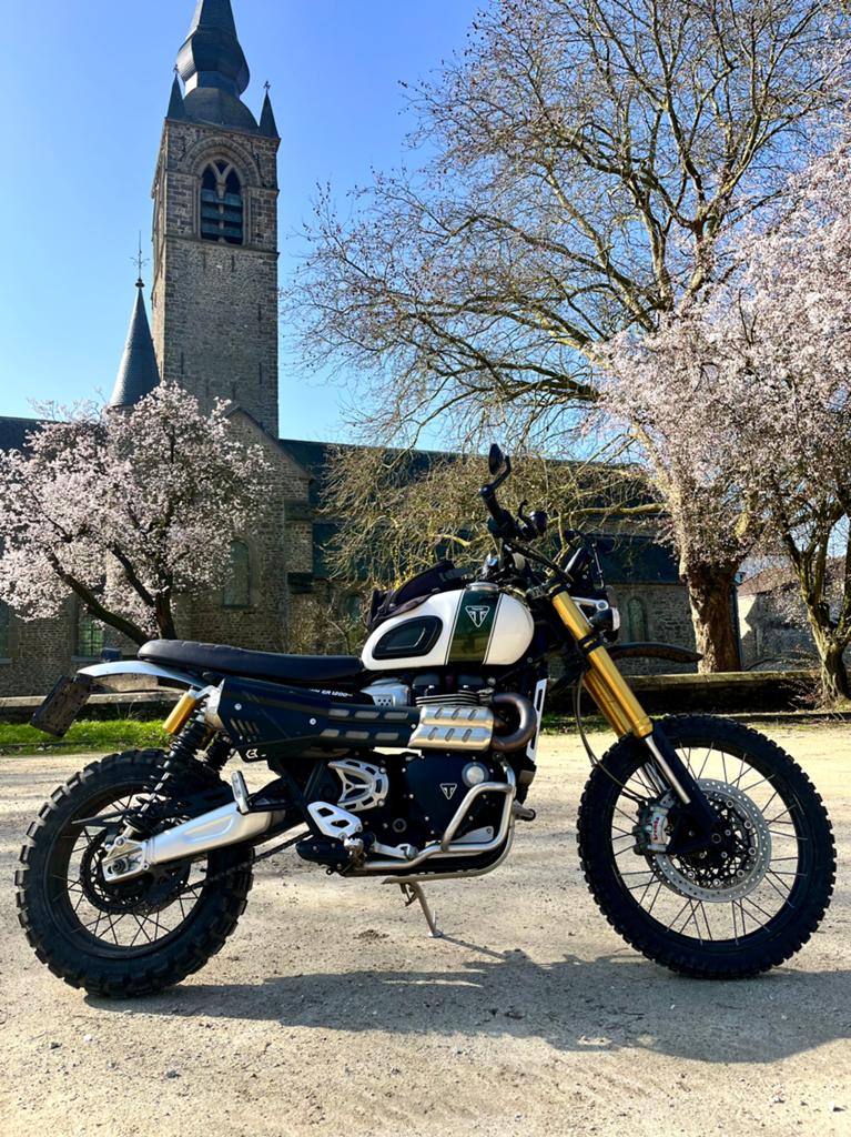 Triumph Scrambler 1200 XE, Motos, Motos | Triumph, Particulier, Naked bike, plus de 35 kW, 2 cylindres, Occasion, Occasion, Enlèvement