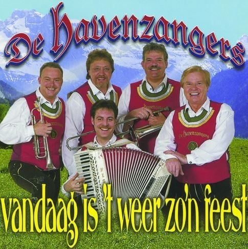 De Havenzangers - vandaag is 't weer zo'n feest, CD & DVD, CD | Néerlandophone, Enlèvement, Comme neuf, Autres genres
