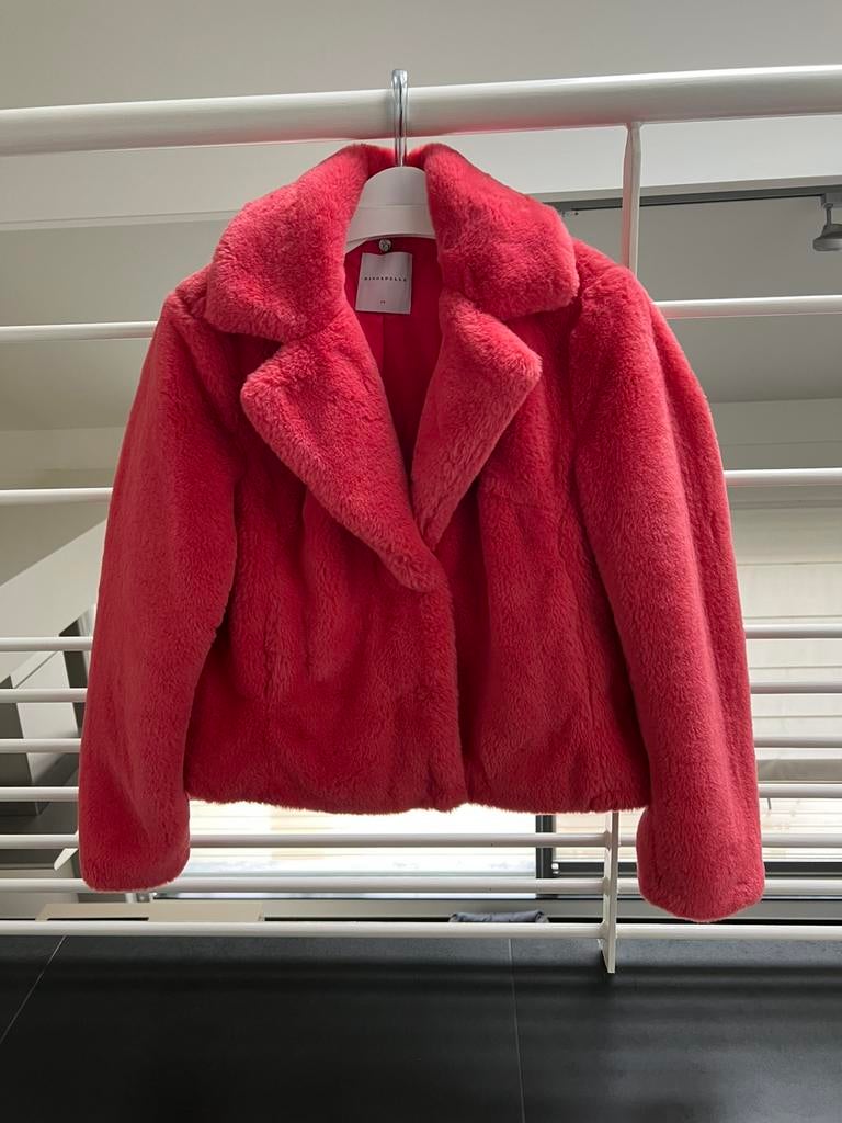 Jasje nieuw, Kleding | Dames, Ophalen, Nieuw, Maat 38/40 (M), Overige kleuren
