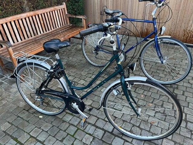 Damesfiets, Gebruikt, Velgrem, Versnellingen, Ophalen