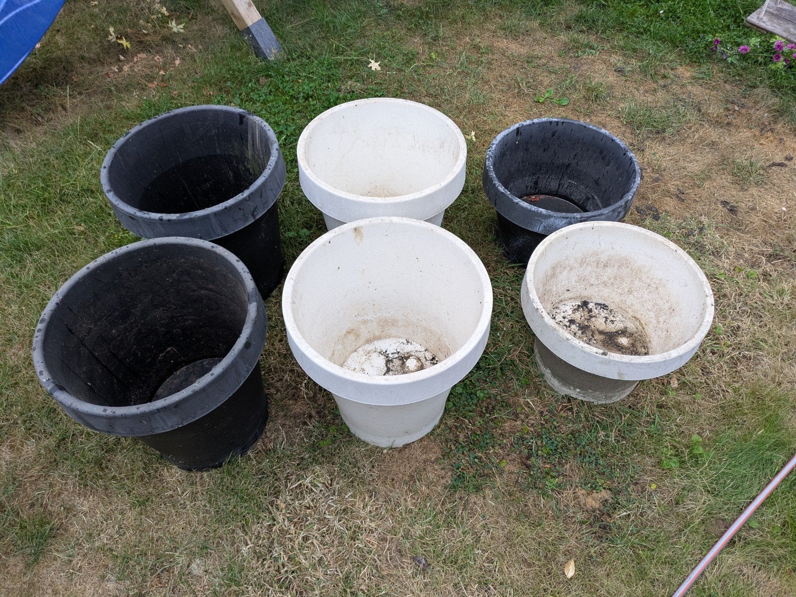 6 bloempotten verschillende hoogte, Tuin en Terras, Bloempotten, Ophalen, Kunststof, Gebruikt, 40 cm of meer