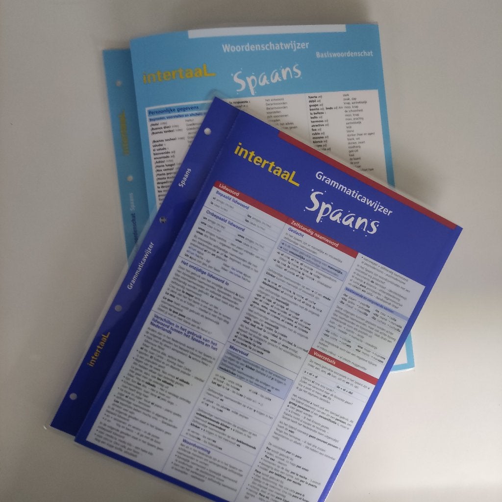 Intertaal Spaans, Grammaticawijzer en Woordenschatwijzer, Livres, Langue | Espagnol, Comme neuf, Enlèvement ou Envoi