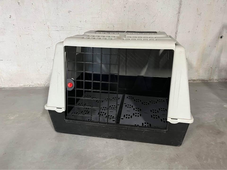 Caisse transport 1 ou 2 chien(s), Enlèvement, Utilisé