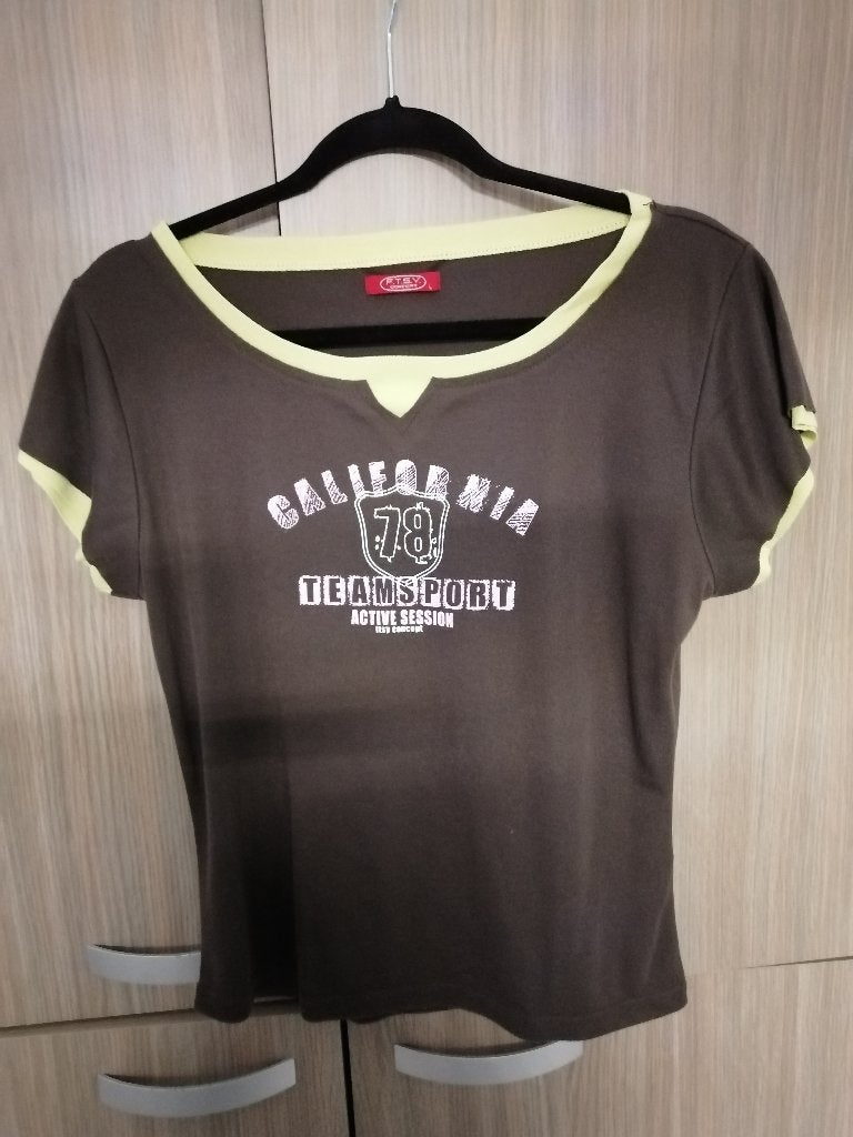 leuk bruin t-shirt mt L, Kleding | Dames, T-shirts, Bruin, Maat 42/44 (L), Ophalen of Verzenden, Korte mouw