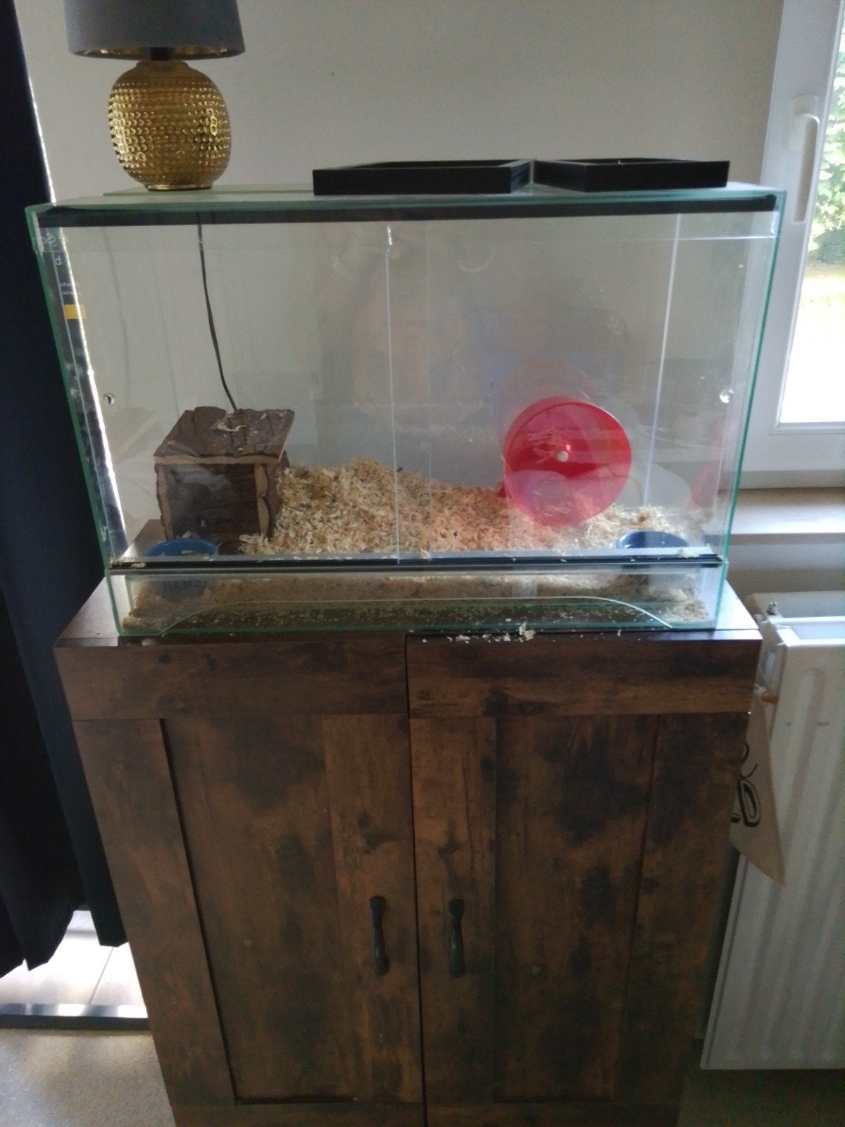 terrarium te koop, Dieren en Toebehoren, Ophalen, Zo goed als nieuw, Minder dan 75 cm, Minder dan 60 cm