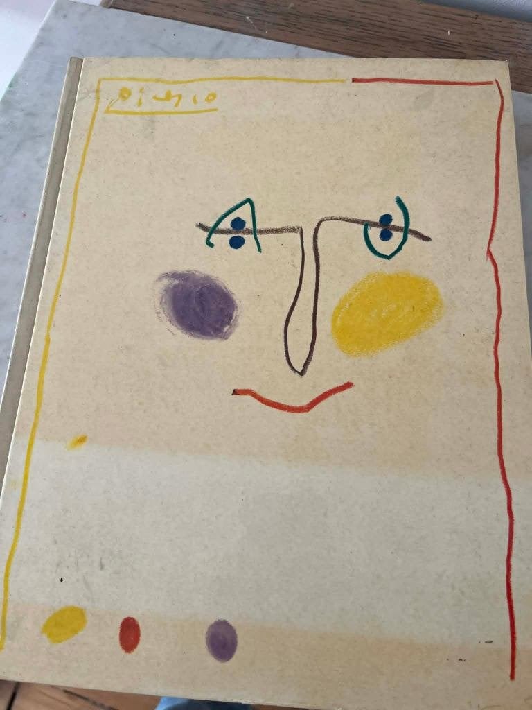 Kunstboek "Picasso at work", Boeken, Ophalen of Verzenden, Gelezen, Schilder- en Tekenkunst