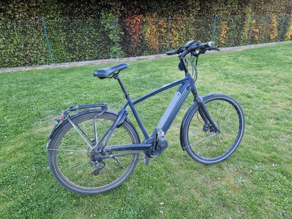 Speed pedelec gazelle cityzen, Vélos & Vélomoteurs, Vélos | Hommes | Vélos de sport & Vélo de randonnée, 10 à 15 vitesses, Enlèvement