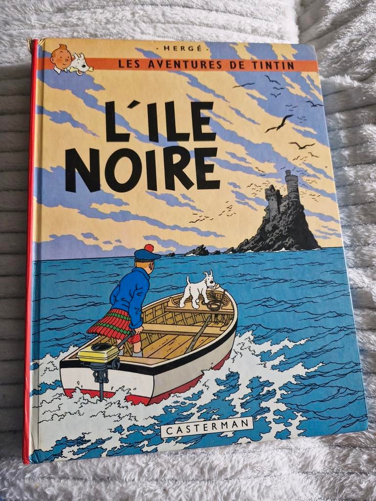 Tintin l'île noire, Enlèvement