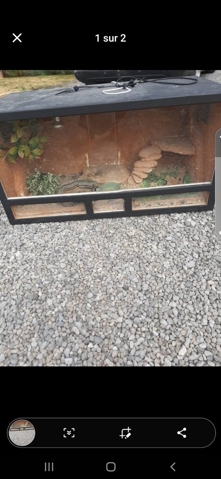 terrarium 1m, Ophalen