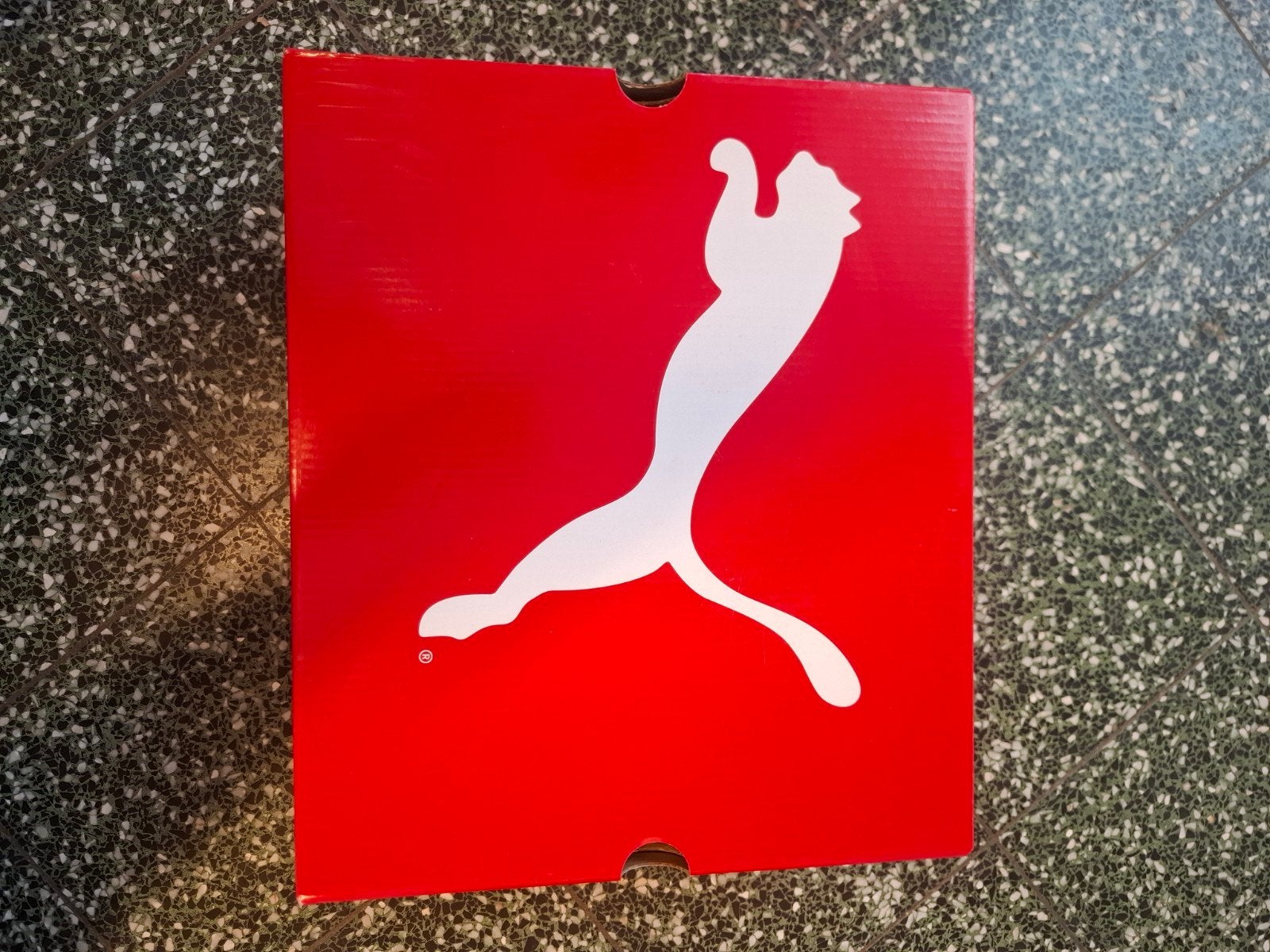 veiligheidsschoenen Puma maat 42, Vêtements | Hommes, Neuf, Puma, Chaussures de travail, Enlèvement