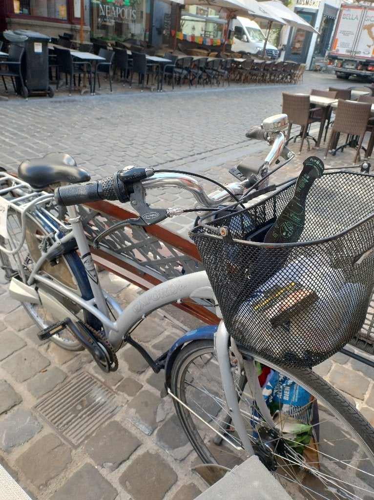 Oxford Stadsfiets met stuurmandje, Autres marques, Vitesses, Frein sur jante, Enlèvement
