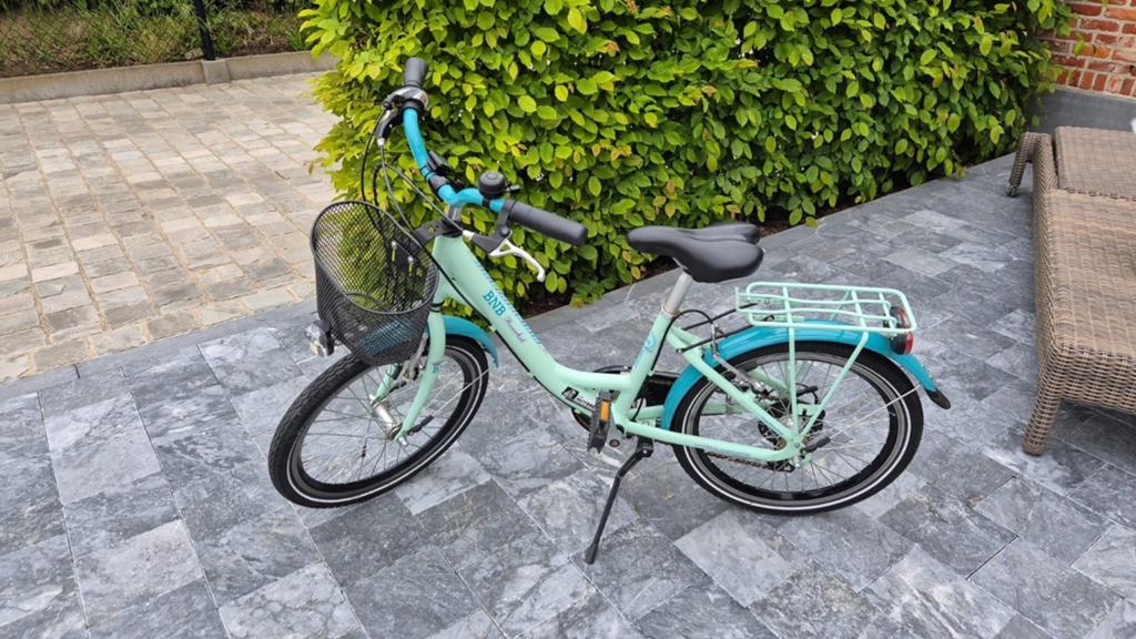 BNB flowerkid kinderfiets 20 inch  in zeer goede staat!, Ophalen