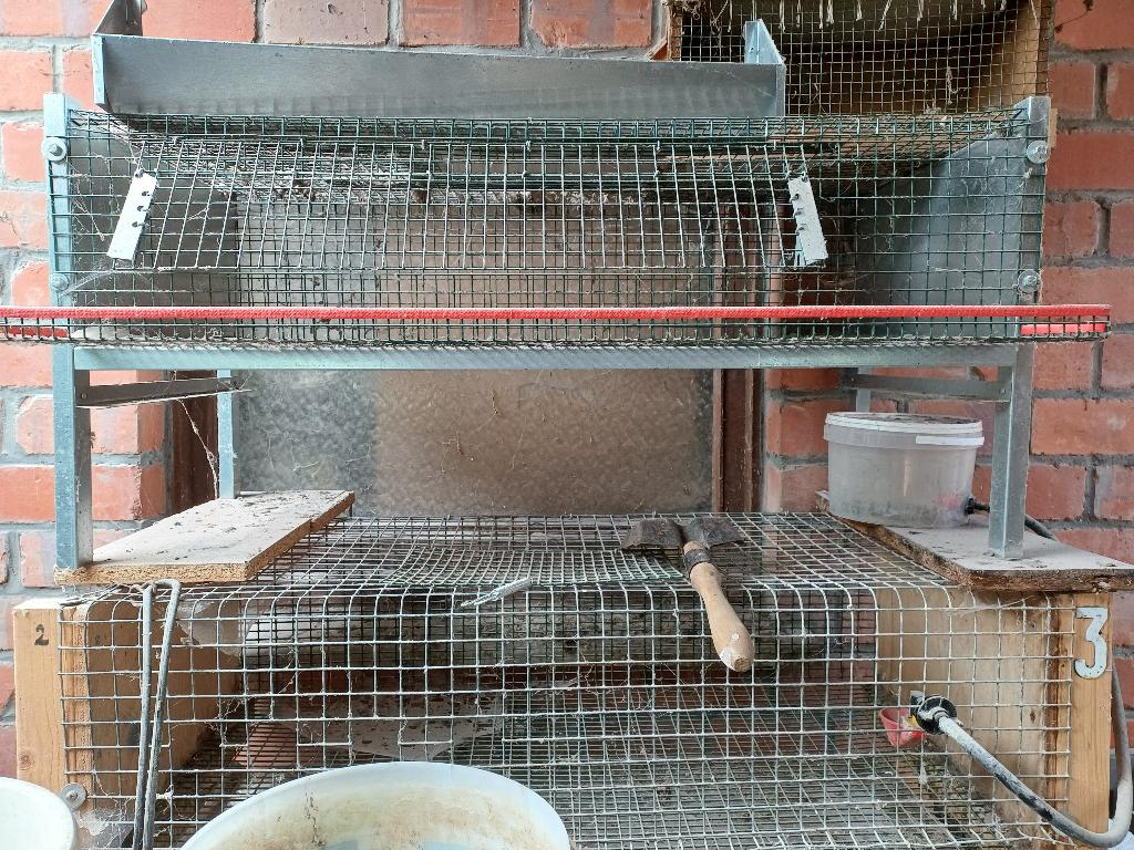 kwartelkooi, Enlèvement, Aluminium, Cage d'élevage