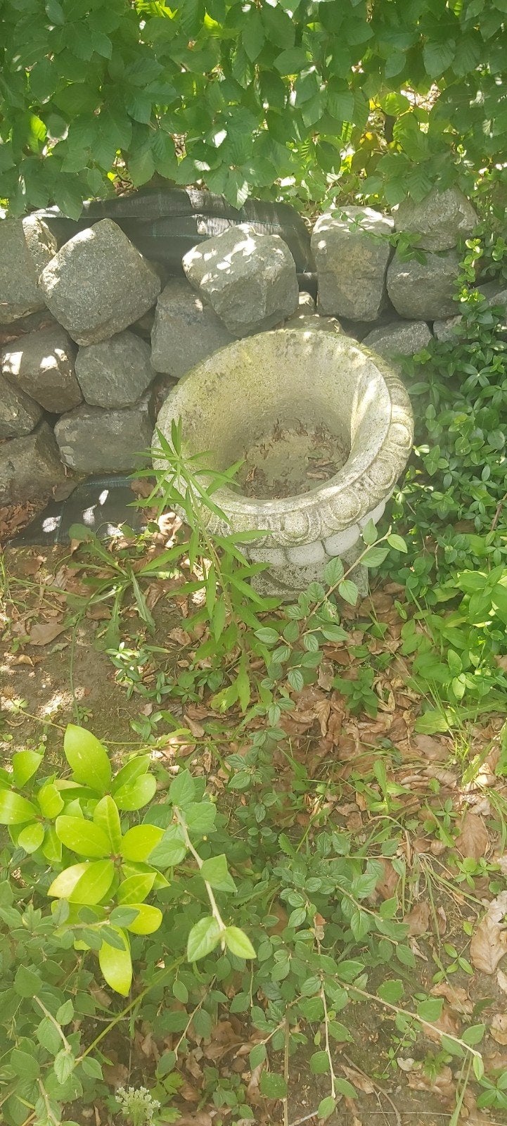 Bloempotten, Tuin en Terras, Ophalen