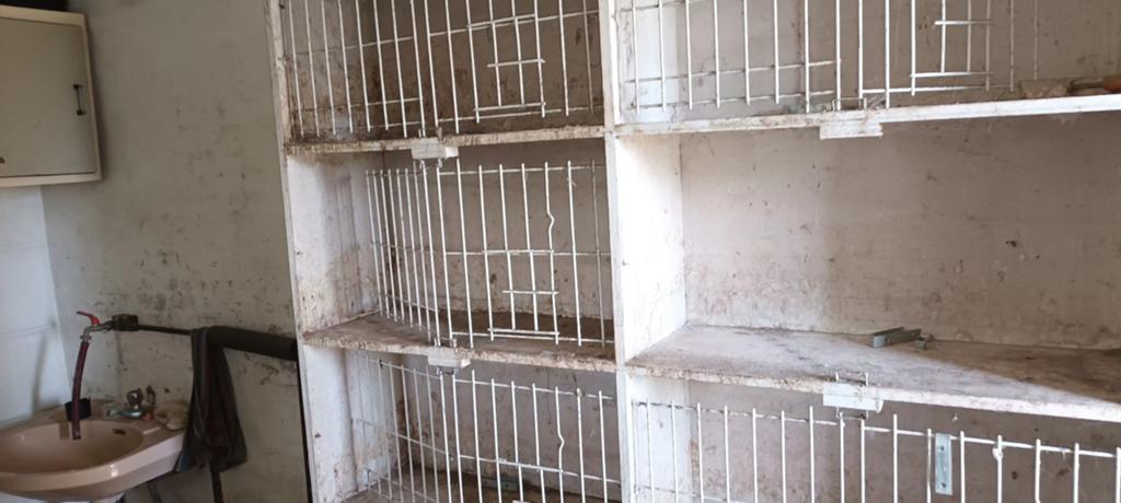 Duivenbakken uit multiplex in zeer goede staat, Dieren en Toebehoren, Vogels | Duiven