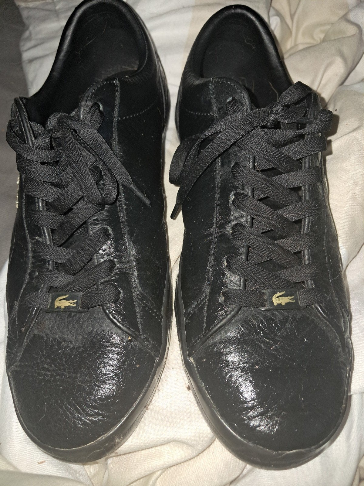 schoenen Lacoste, Ophalen of Verzenden