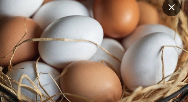 oeufs bio à vendre, Enlèvement