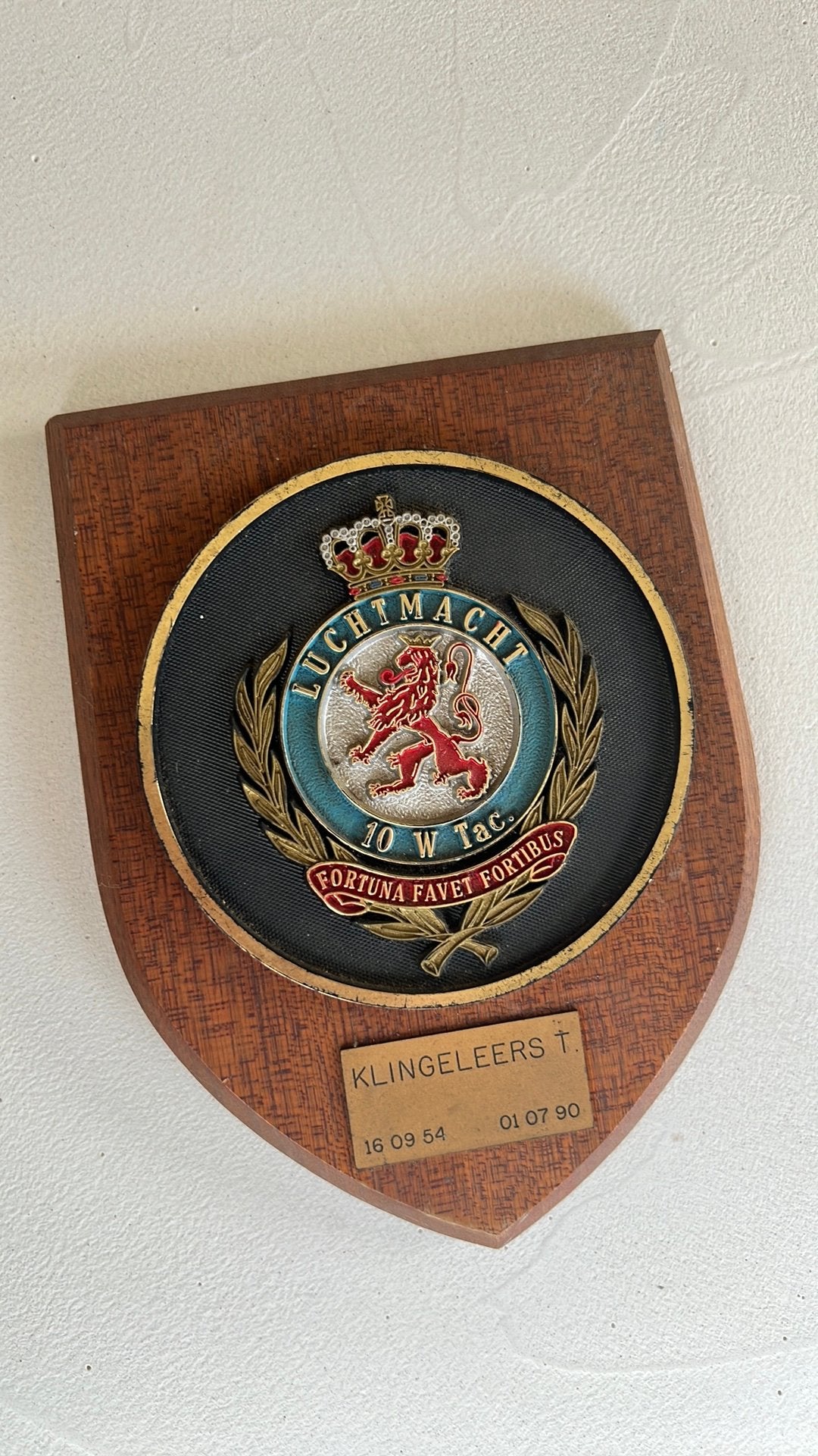 Belgische Luchtmacht 10 W Tac wandbord 1954-1990 – militair, Verzamelen, Ophalen, Luchtmacht, Embleem of Badge