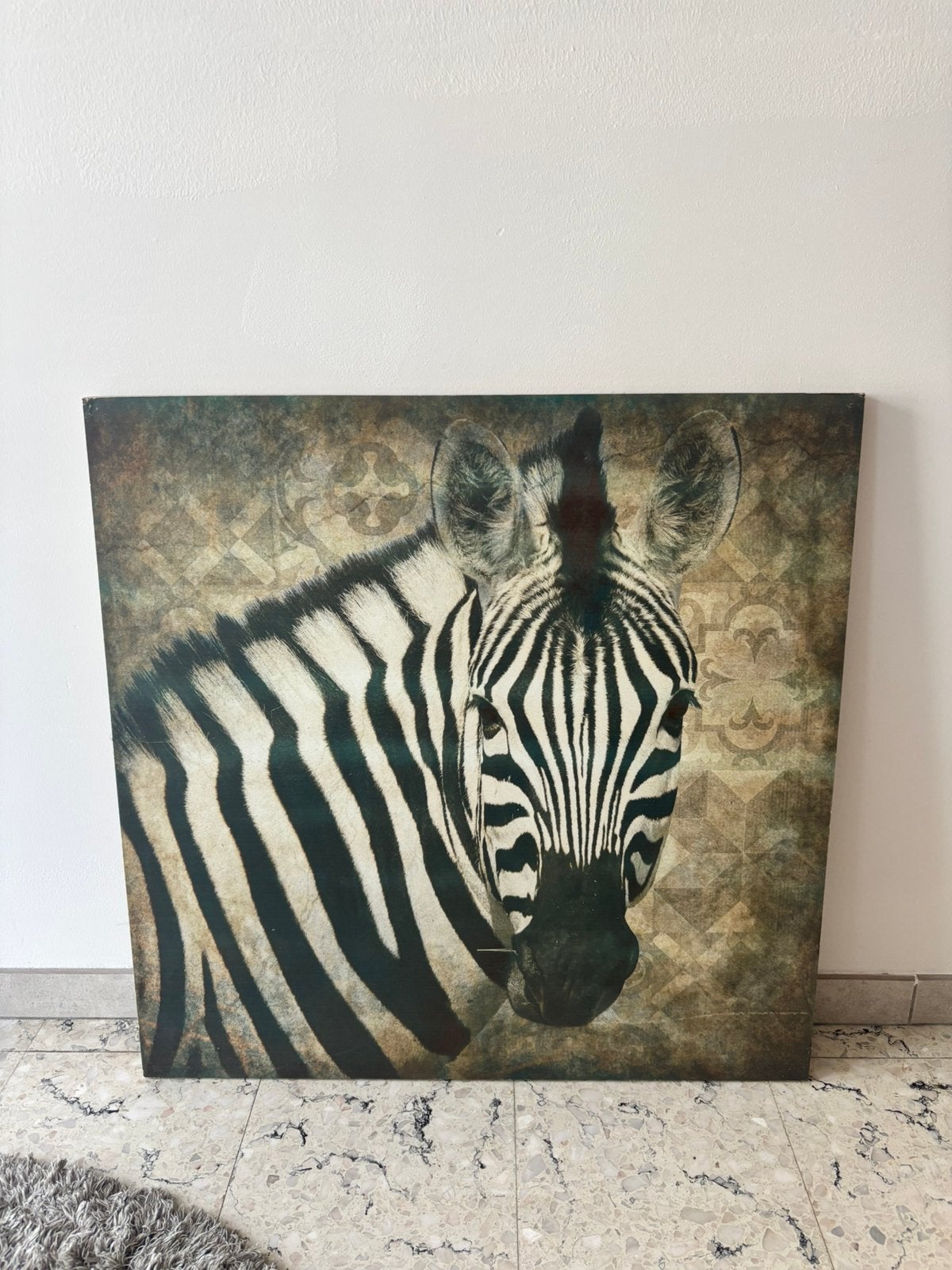 Decoratief Houten wandbord met zebra, Antiek en Kunst, Ophalen