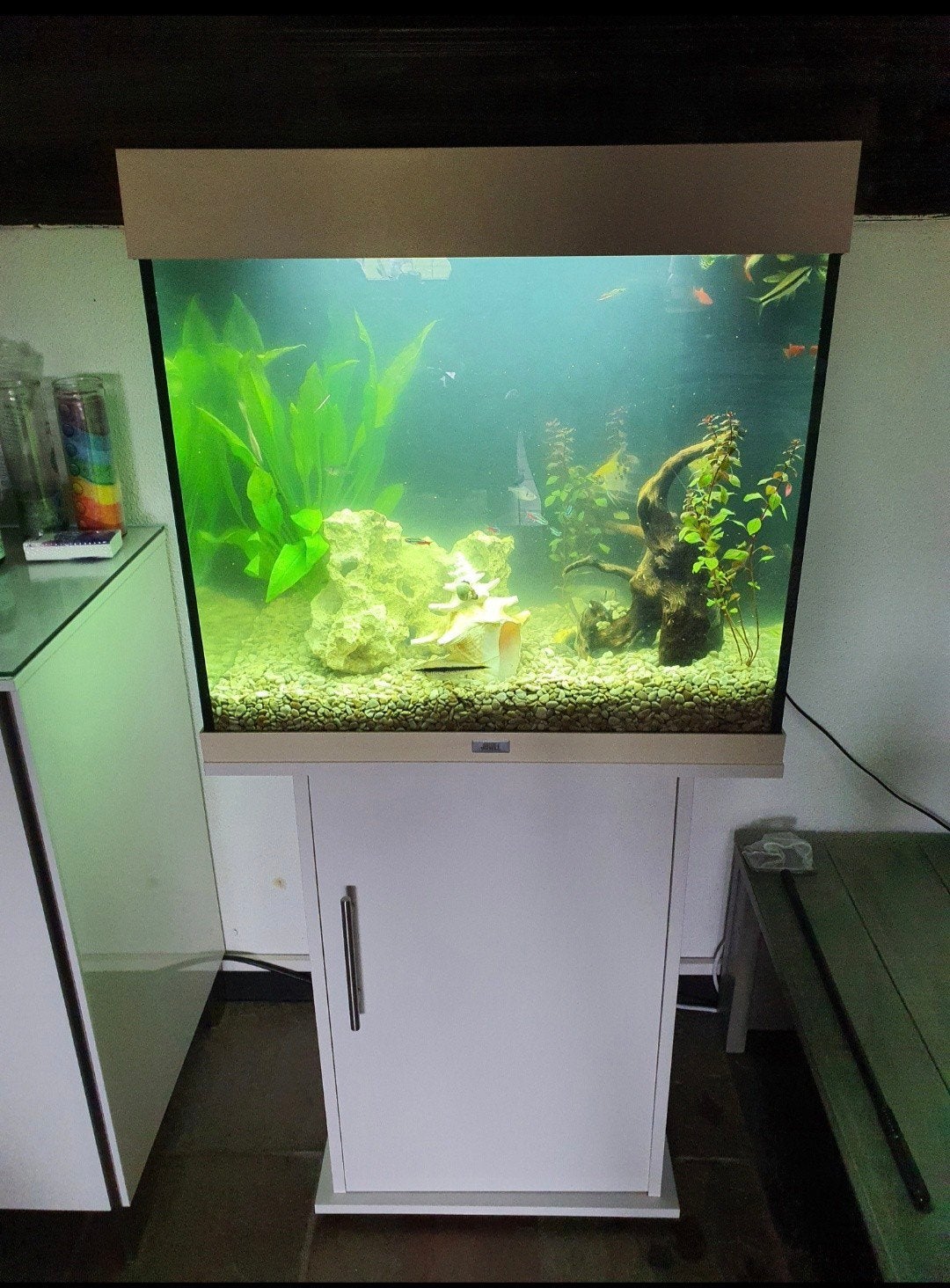 DRINGEND WEG ~ Aquarium Juwel lido 120, Ophalen, Juwel