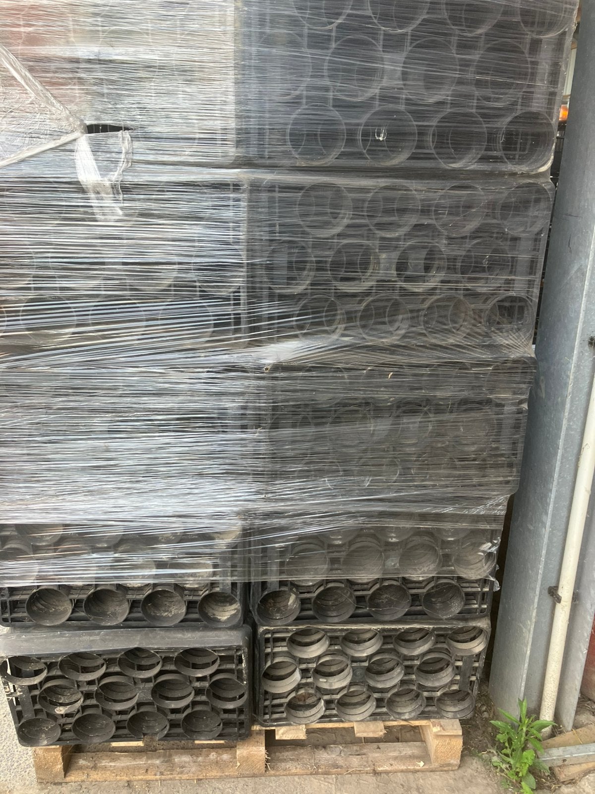 Mara tray 12 gaats te koop ongeveer een 5600 stuks, Tuin en Terras, Ophalen