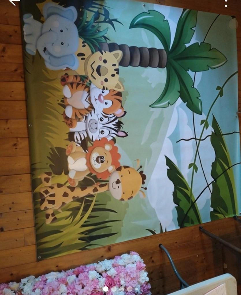Toile de fond photo la jungle