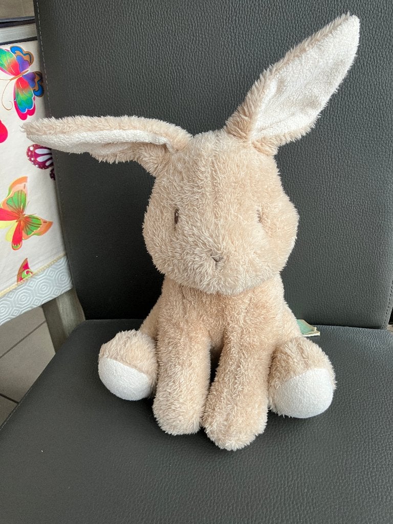 Little Dutch knuffel Konijn ( met kaartje ), Enfants & Bébés, Jouets | Peluches, Enlèvement ou Envoi, Lapin, Little Dutch