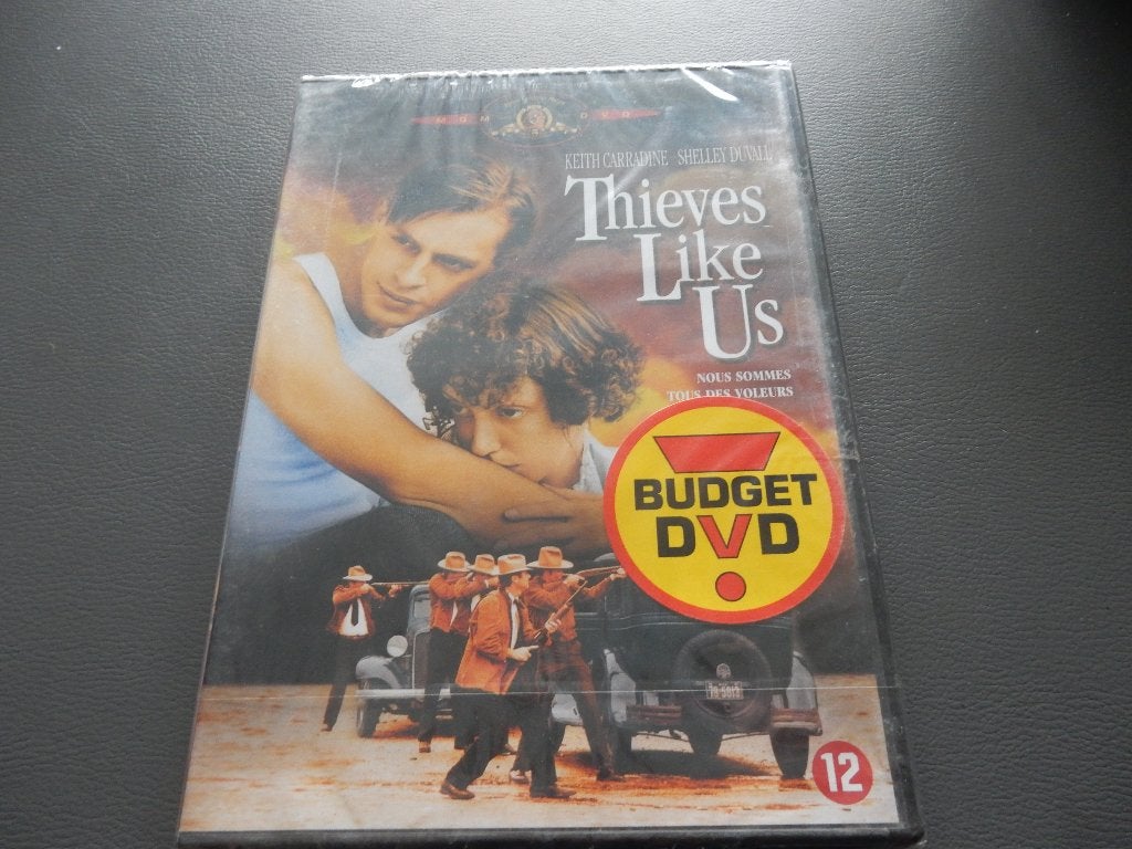 nr.1499  - Dvd: thieves like us - misdaad - sealed -1974, CD & DVD, DVD | Thrillers & Policiers, Enlèvement ou Envoi, Néerlandais