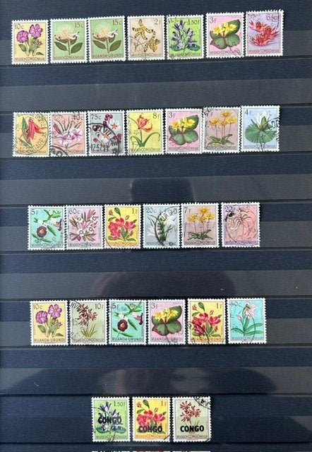 timbres avec des fleurs au CONGO BELGE, frais/timbrés, Enlèvement ou Envoi, Animal et Nature