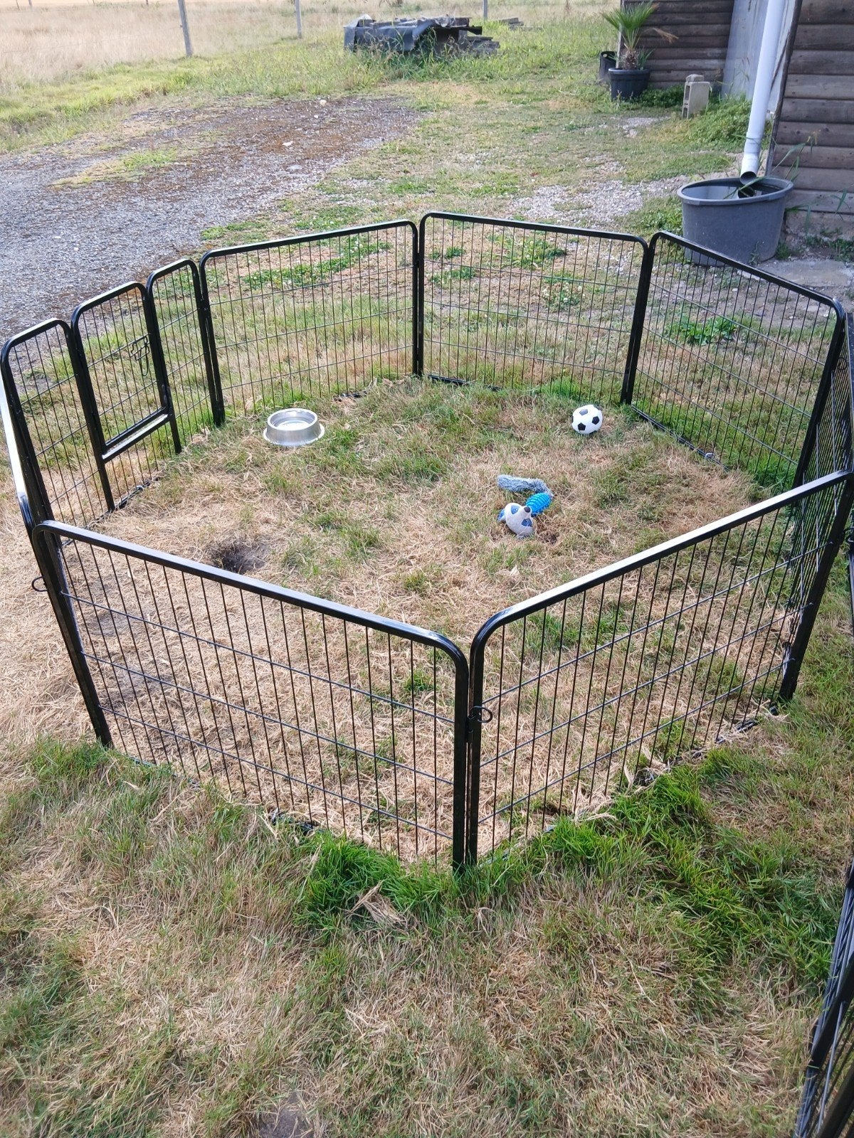 hondenren, Comme neuf, Enlèvement, Moins de 65 cm, Chenil chien