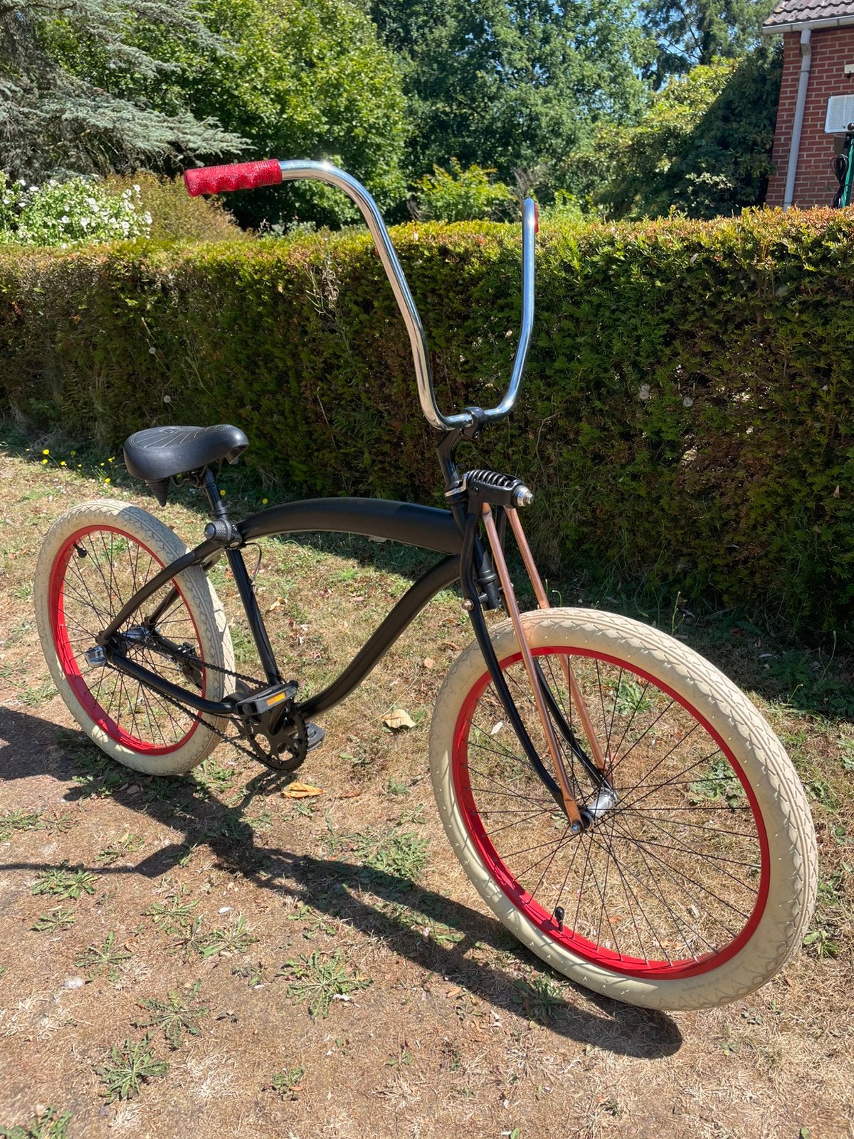 Nirve Beach Cruiser, Enlèvement, Utilisé