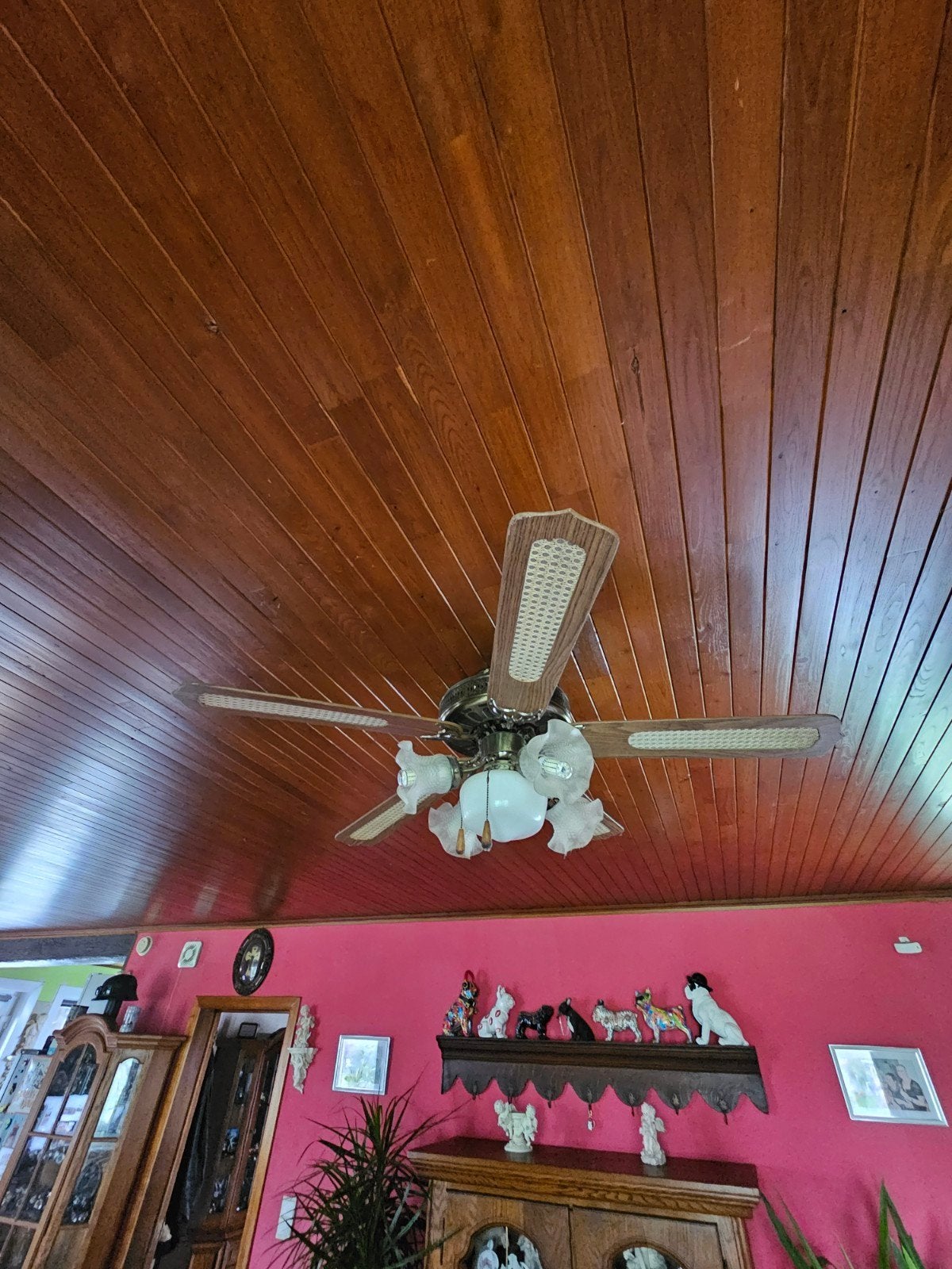 Lustre ventilateur de plafond avec luminaire, Enlèvement